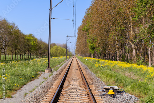 Single track railway - MerwedeLingelijn, near the village of Beesd in the Betuwe, surrounded by yellow spring flowers.