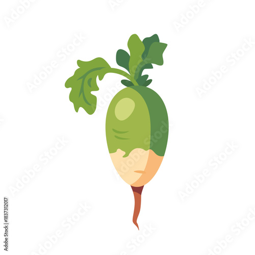 Fresh green radish root vegetable with leaves, isolated flat style vector illustration