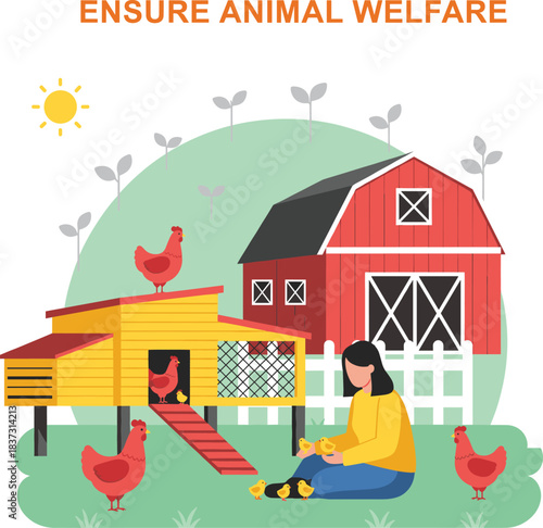 Flat design vector illustration of a woman ensuring animal welfare by caring for chickens and chicks outside a red barn and yellow coop