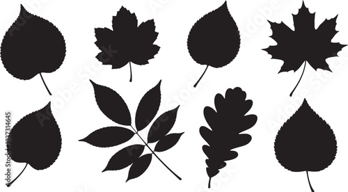 An intricate collection of various black tree leaf silhouettes, showcasing diverse botanical shapes and natural forms, isolated on a white background.