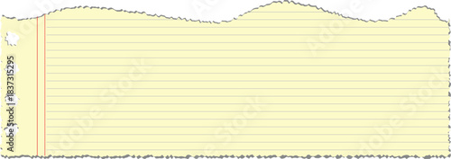 Torn Blank Yellow Lined Continuous Form Paper with vector illustration