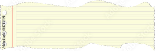 Torn Lined Yellow Notebook Paper Blank Template with vector illustration