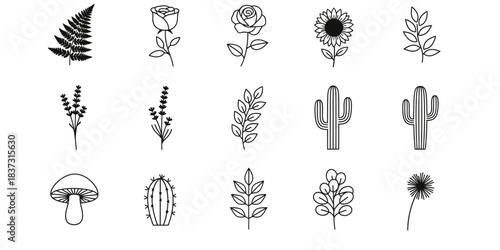 Botanical illustration set of delicate wildflowers ferns mushrooms and desert cacti sketches