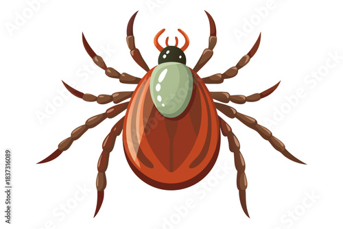 High-quality illustration of a tick insect with realistic detail and color. This vector graphic shows the tick’s body structure, legs, and texture, perfect for educational, scientific, and medical pur