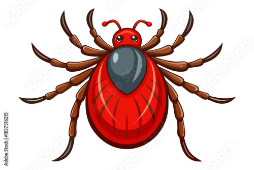 High-quality illustration of a tick insect with realistic detail and color. This vector graphic shows the tick’s body structure, legs, and texture, perfect for educational, scientific, and medical pur