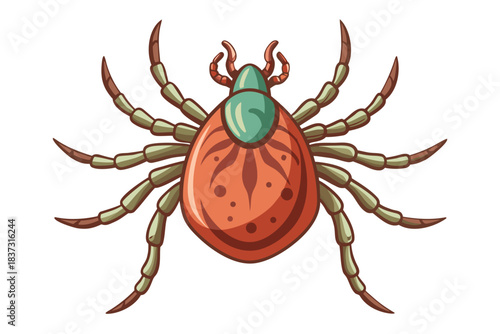 High-quality illustration of a tick insect with realistic detail and color. This vector graphic shows the tick’s body structure, legs, and texture, perfect for educational, scientific, and medical pur
