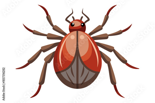 High-quality illustration of a tick insect with realistic detail and color. This vector graphic shows the tick’s body structure, legs, and texture, perfect for educational, scientific, and medical pur