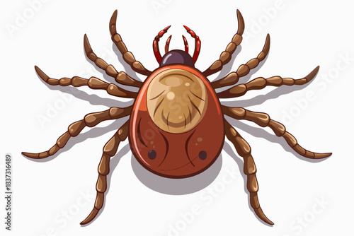 High-quality illustration of a tick insect with realistic detail and color. This vector graphic shows the tick’s body structure, legs, and texture, perfect for educational, scientific, and medical pur