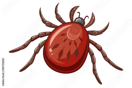 Mosquito Line Drawing Vector – Detailed Insect Outline Illustration for Science and Education