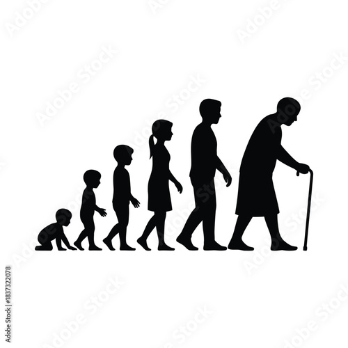 Human life cycle stages from birth to old age