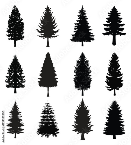 silhouette tree line drawing set, Side view, set of graphics trees elements outline symbol for architecture and landscape design drawing vector .