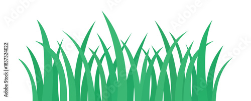 Green grass blades forming a natural horizontal border with layered leaves and organic shapes representing meadow, lawn, spring growth and fresh vegetation in simple decorative style – stock vector