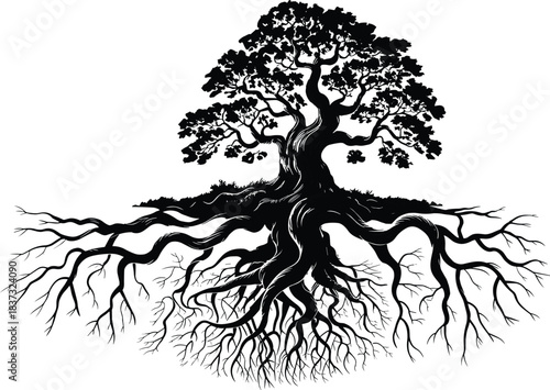 Tree with roots illustration, black and white design, growth symbol, nature silhouette, stability concept, botanical artwork, organic structure