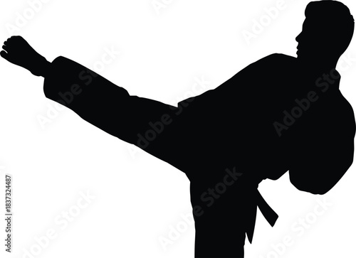Vector Black Silhouette of a Karate or Taekwondo Fighter Executing a Side Kick, Martial Arts Master in a Gi with High Kick Action Pose