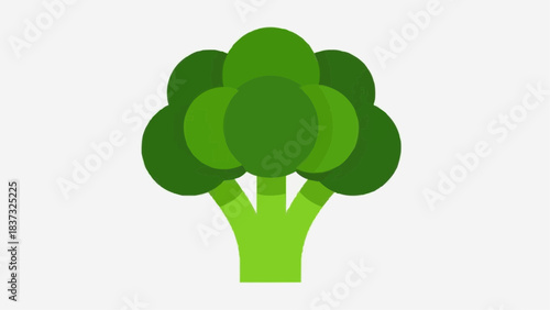 Illustration of broccoli with multiple florets and a thick stem viewed from the front in a simple graphic style