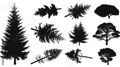 Collection of diverse tree silhouettes against a plain white background