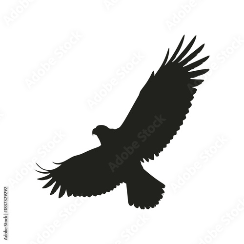 Silhouette of a large bird of prey, likely an eagle or hawk, in flight