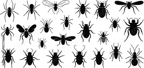 Collection of insect silhouettes featuring spiders, beetles, flies, ants, and various bug species for nature illustration, entomology design, education, and creative projects