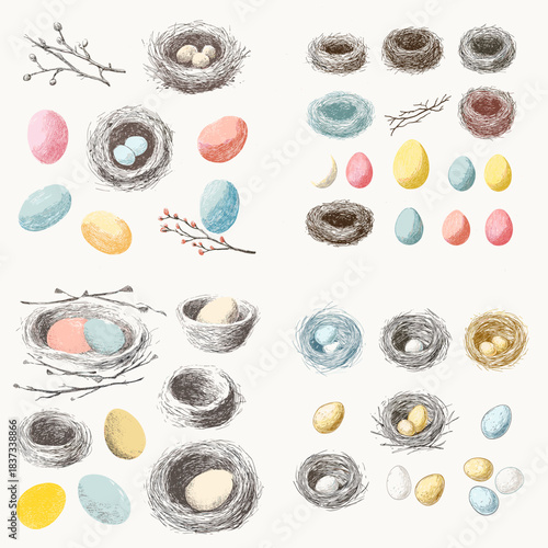 A delicate hand drawn illustration set featuring bird nests, colorful eggs, twigs, and natural details, perfect for spring designs, nature themes, and decorative projects.
