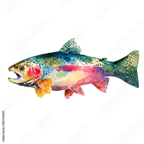 Trout, watercolor painting, vector illustration, isolated on a white background.