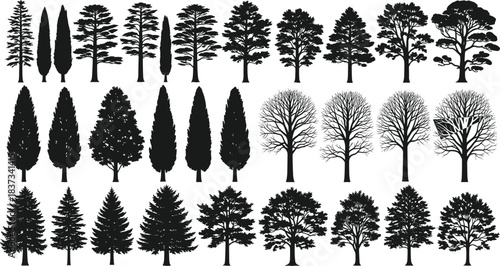 Tree silhouette, botanical vector, forest icon, foliage shape, bare branches, conifer outline, deciduous tree, nature clipart, black graphic, landscape