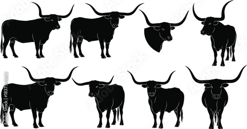 Collection of Texas Longhorn cattle silhouettes with large curved horns in various poses for western design vector