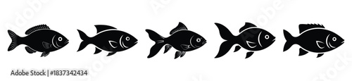 Set of aquarium fish vector icon in silhouette design. summer design concepts.