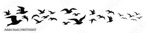 Set of birds flying vector icon in silhouette design. summer design concepts.