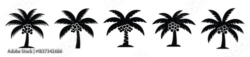 Set of coconut palm fruit vector icon in silhouette design. summer design concepts.