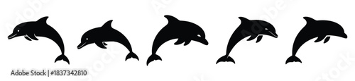 Set of dolphin vector icon in silhouette design. summer design concepts.
