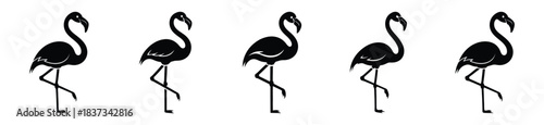 Set of flamingo vector icon in silhouette design. summer design concepts.