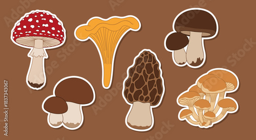 Variety of Mushrooms Collection Sticker Set