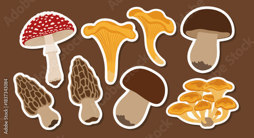 Variety of Mushrooms Collection Sticker Set