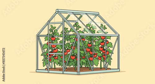 Flat illustration of a greenhouse filled with growing tomato plants. Concept of home gardening, organic farming and sustainable food production. Ideal for agriculture, eco lifestyle