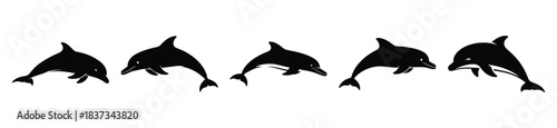Set of swimming dolphin vector icon in silhouette design. summer design concepts.