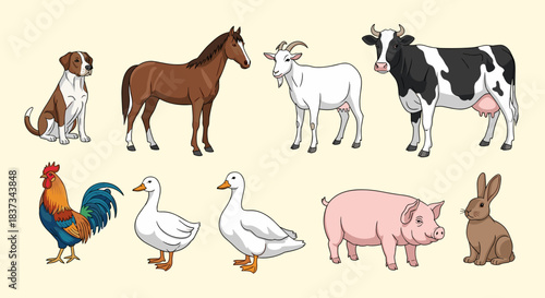 Farm animals collection: dog, horse, goat, cow, rooster, ducks, pig, rabbit