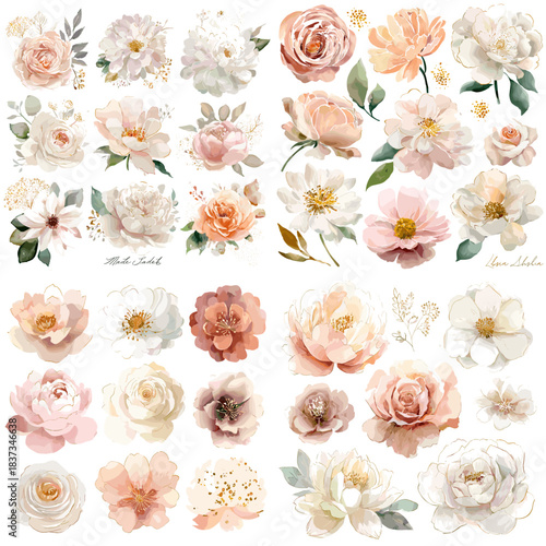 Beautiful watercolor flower collection featuring roses, peonies, and delicate blossoms in soft pastel shades. Ideal for wedding designs, stationery, branding, botanical art, and elegant decor themes.