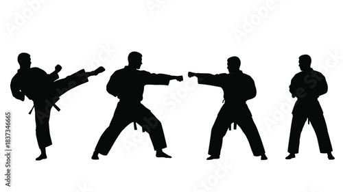 Silhouette series depicting martial arts moves and a dynamic action sequence