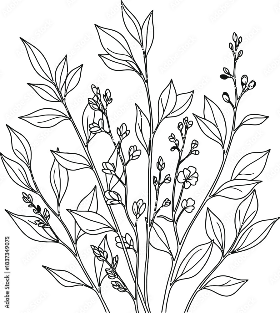 Naklejka premium Delicate Hand Drawn Botanical Illustration of Blooming Branches with Leaves Keywords: botanical, illustration, drawing, sketch, outline, plant