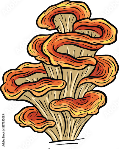 A Fungi Mushroom or Toadstool Vector Illustration Cartoon Wild