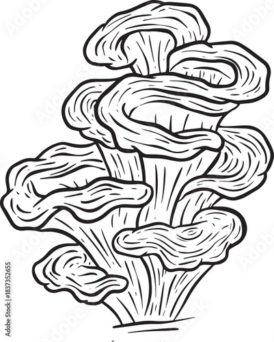 A Fungi Mushroom or Toadstool Vector Illustration Cartoon Wild