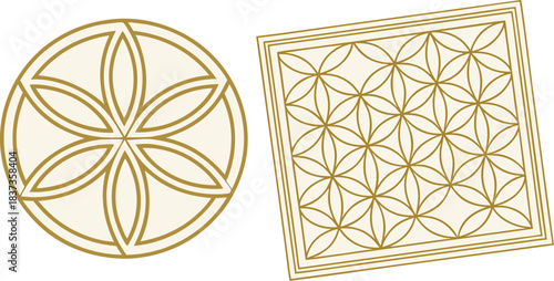 Flower of life symbol