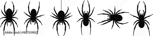 Set of six black spider silhouettes, various poses, hanging thread, insect illustration, arachnid design, Halloween graphic, isolated icons, creepy crawlies, vector art
