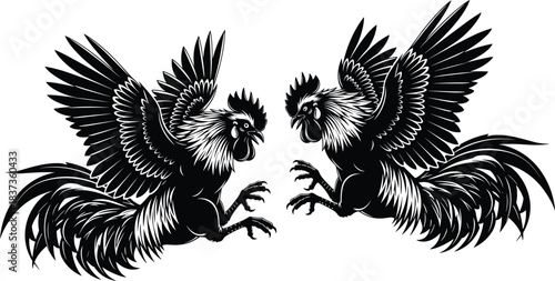 Two roosters in aggressive stance, cockfight silhouette, dynamic feathers, black outline, cultural symbol, fighting birds, traditional combat, symmetrical composition, vector illustration