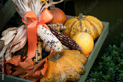 Colorful autumn vegetables