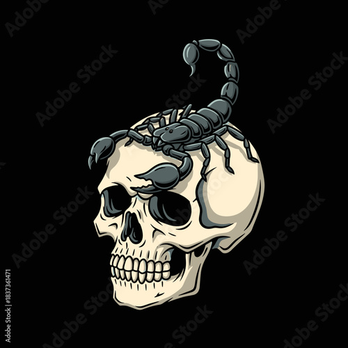 Scorpion on a Human Skull Symbolizing Danger and Mortality.