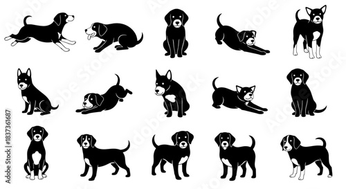 Collection of Black and White Dog Poses and Actions.