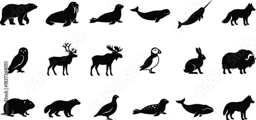 Arctic and winter animal silhouette icon set. Polar bear, penguin, and reindeer wildlife symbols vector collection.
