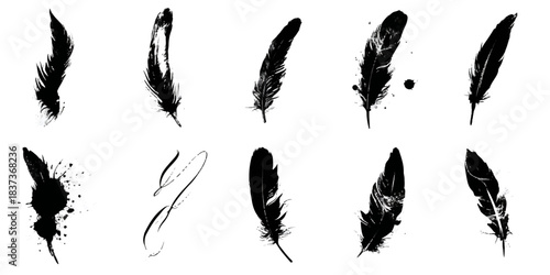 Collection of  diverse black ink brush stroke feather illustrations on a white background