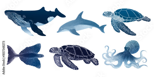 Collection of  watercolor style marine animals including whale dolphin turtle fish octopus
